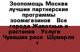 Зоопомощь.Москва лучшие партнерские программы зоомагазинов - Все города Животные и растения » Услуги   . Чувашия респ.,Шумерля г.